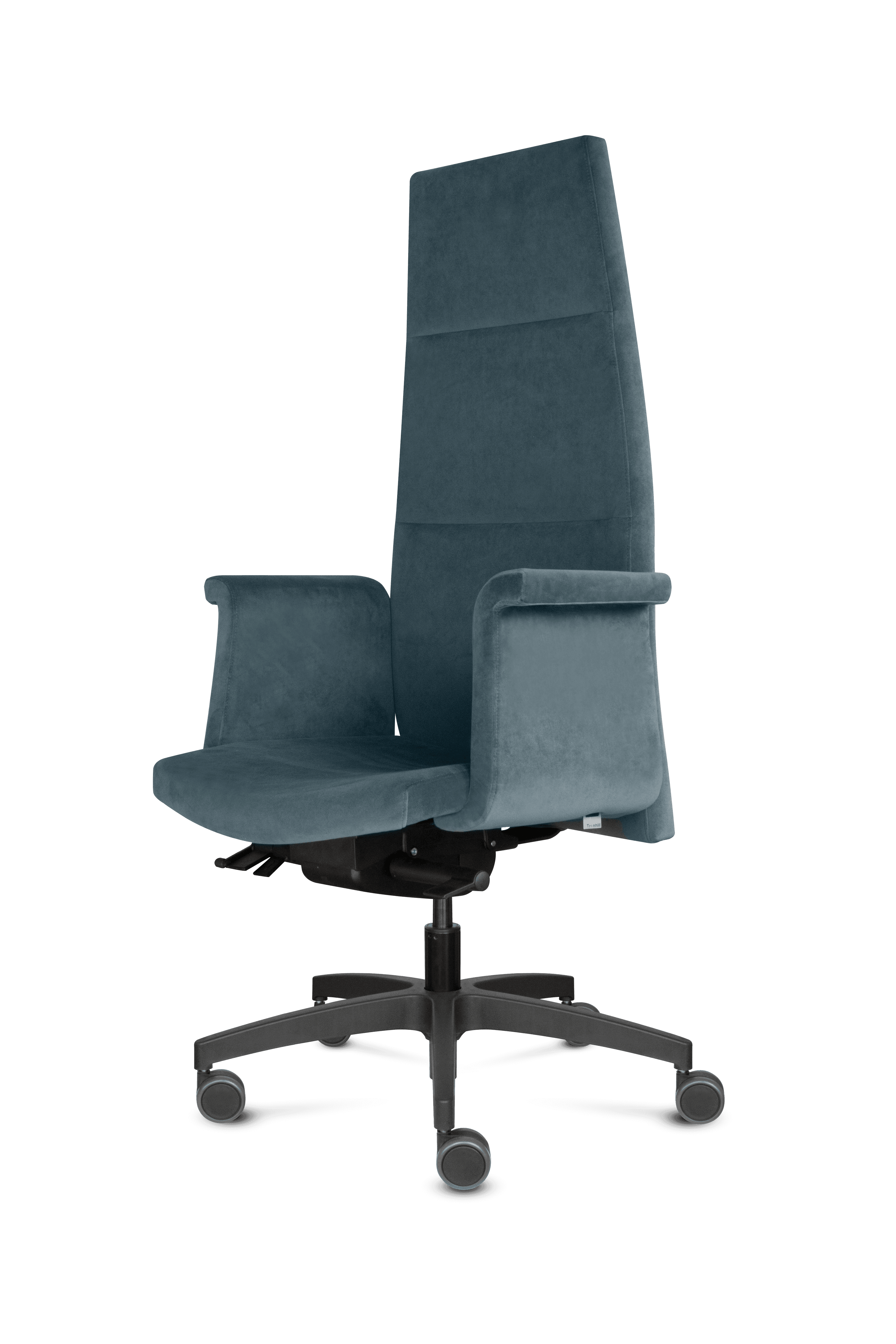 Biroja krēsls LUNA EXECUTIVE